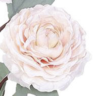 NFE03036-CR-01