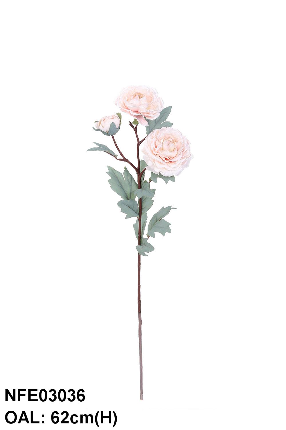 NFE03036-CR-01
