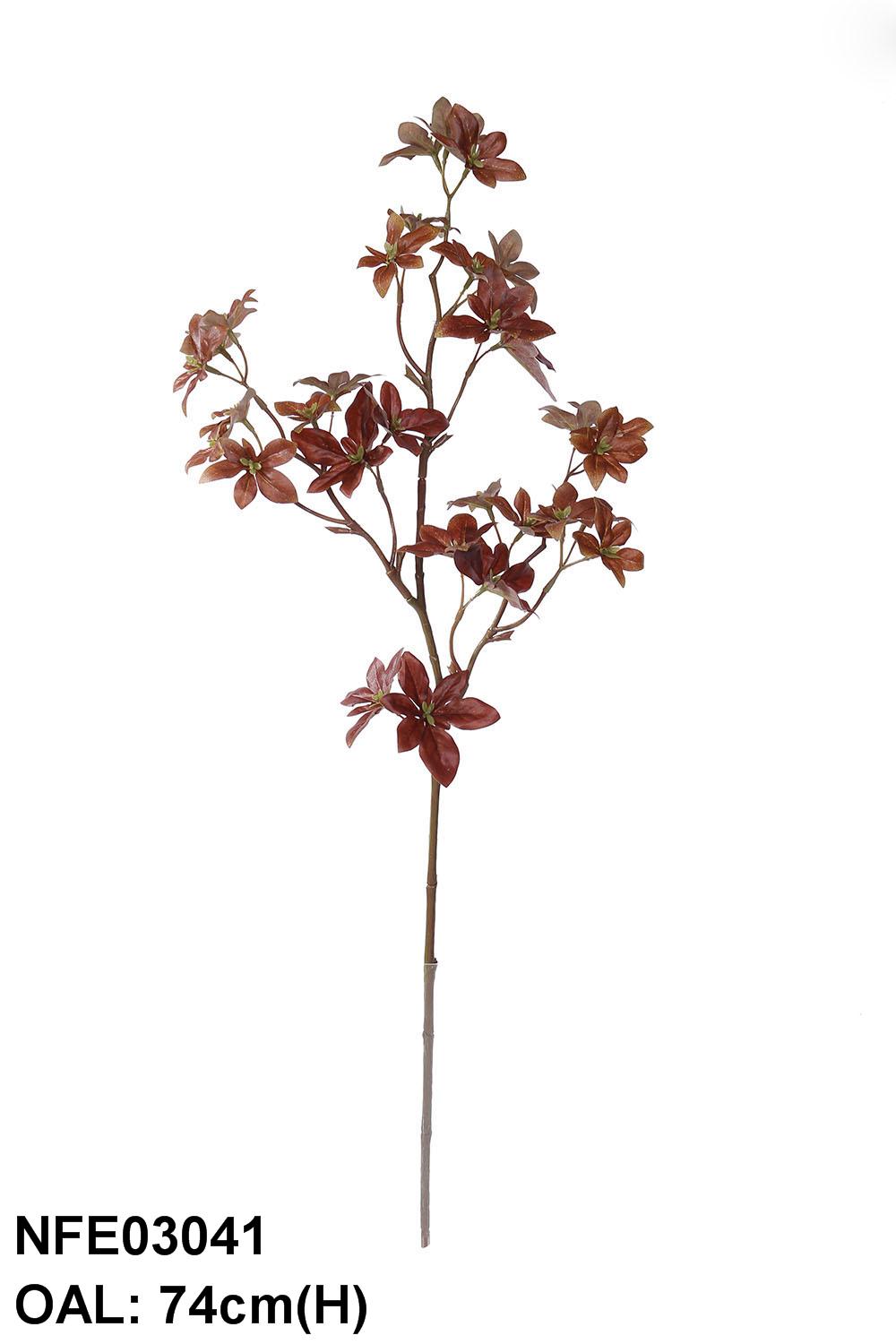 NFE03041-BUR-01