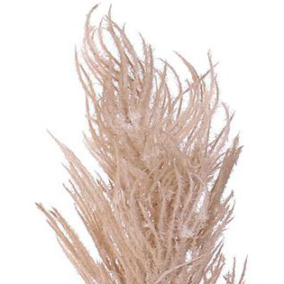 PFE01024F-BR-01