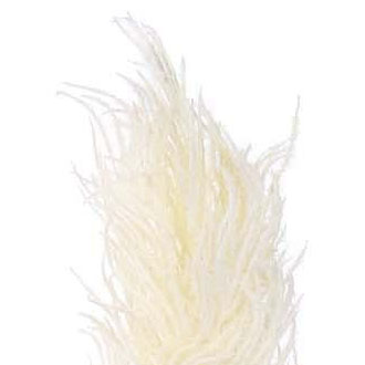 PFE01024F-CR-01