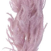 PFE01024F-LTPU-01
