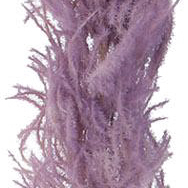PFE01024F-MA-01