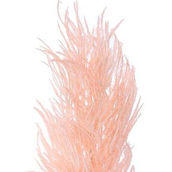 PFE01024F-PK-01