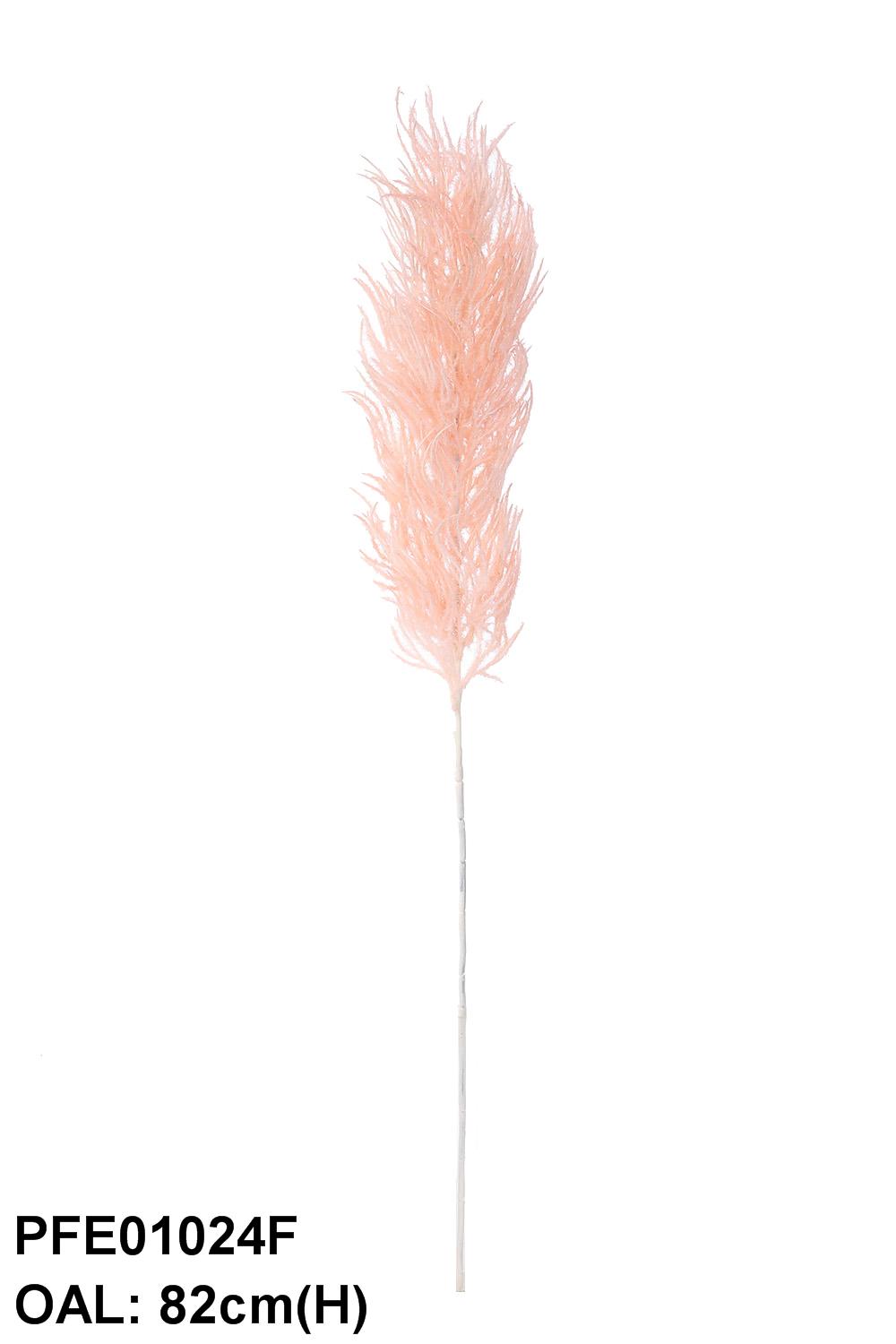 PFE01024F-PK-01