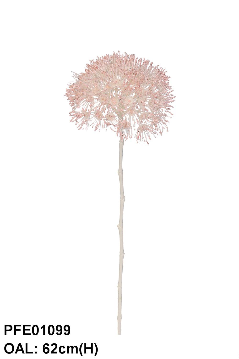 pfe01099-pk-01 – Europe Flower