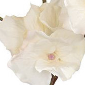 PFE07021-CR-01
