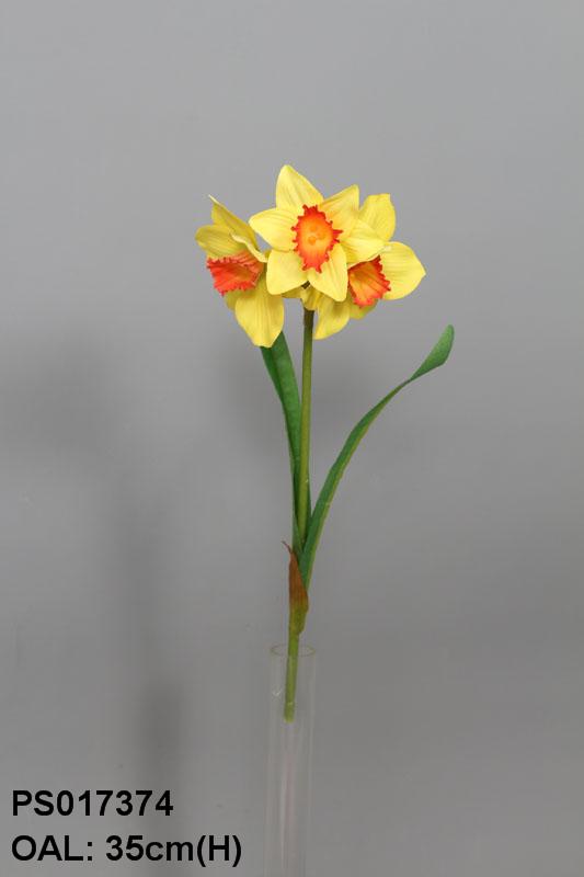 PS017374-RDYE-01