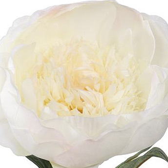 PS019559-CR-01