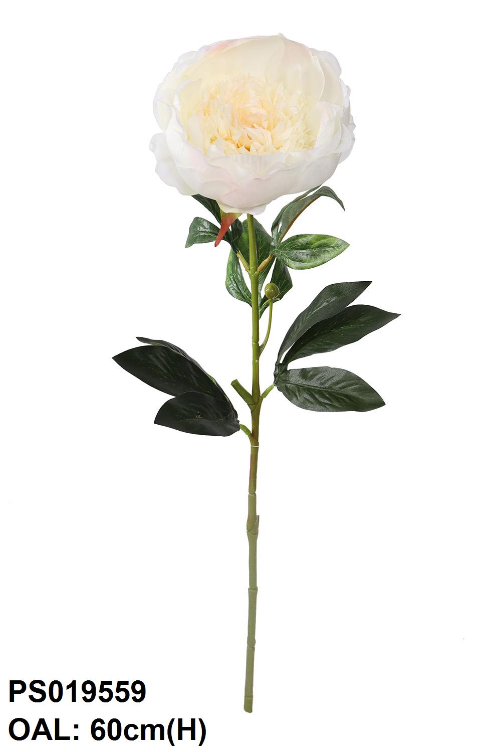 PS019559-CR-01