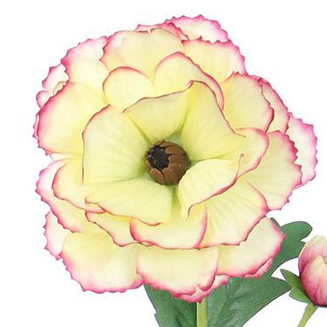 PS022721-YEBUR-01