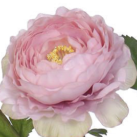 PS033312-PK-01