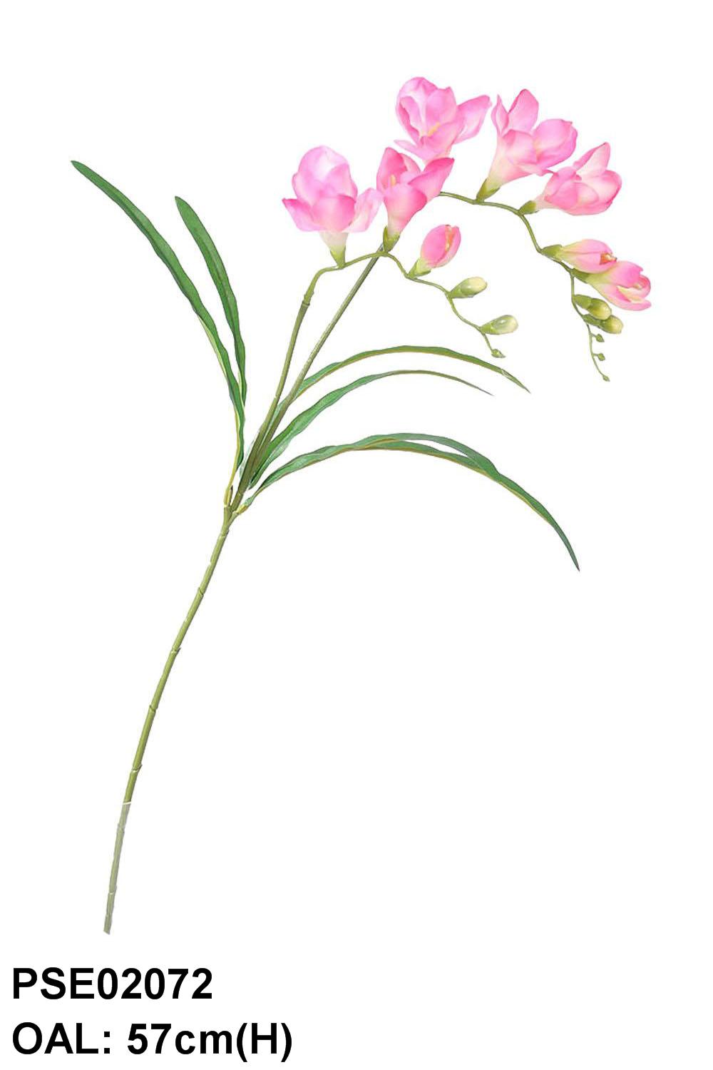 PSE02072-BTY-01