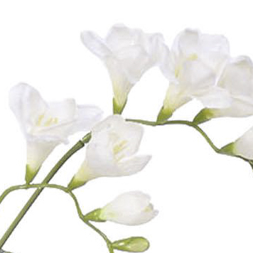 PSE02072-CR-01