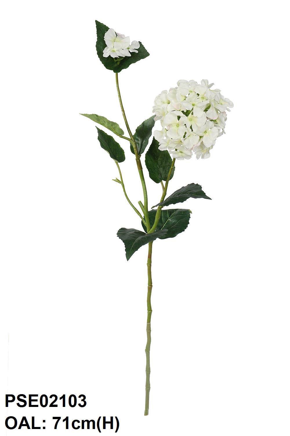 PSE02103-CR-01