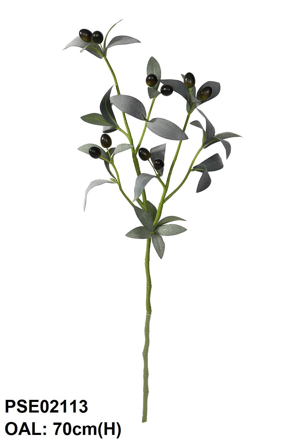 PSE02113-BKGR-01