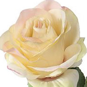 PSE02135-SA-01