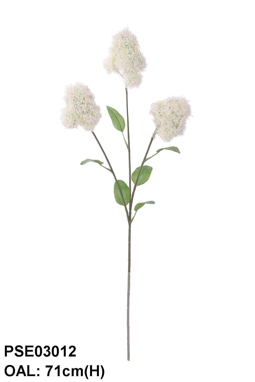 PSE03012-BE-01