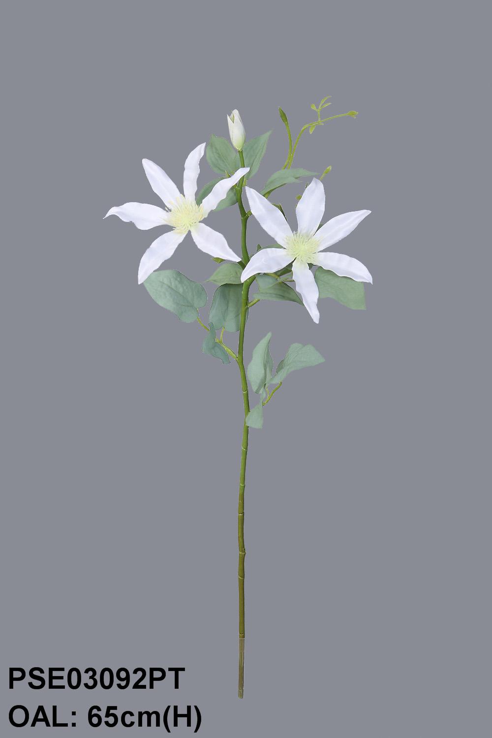 PSE03092PT-WH-01