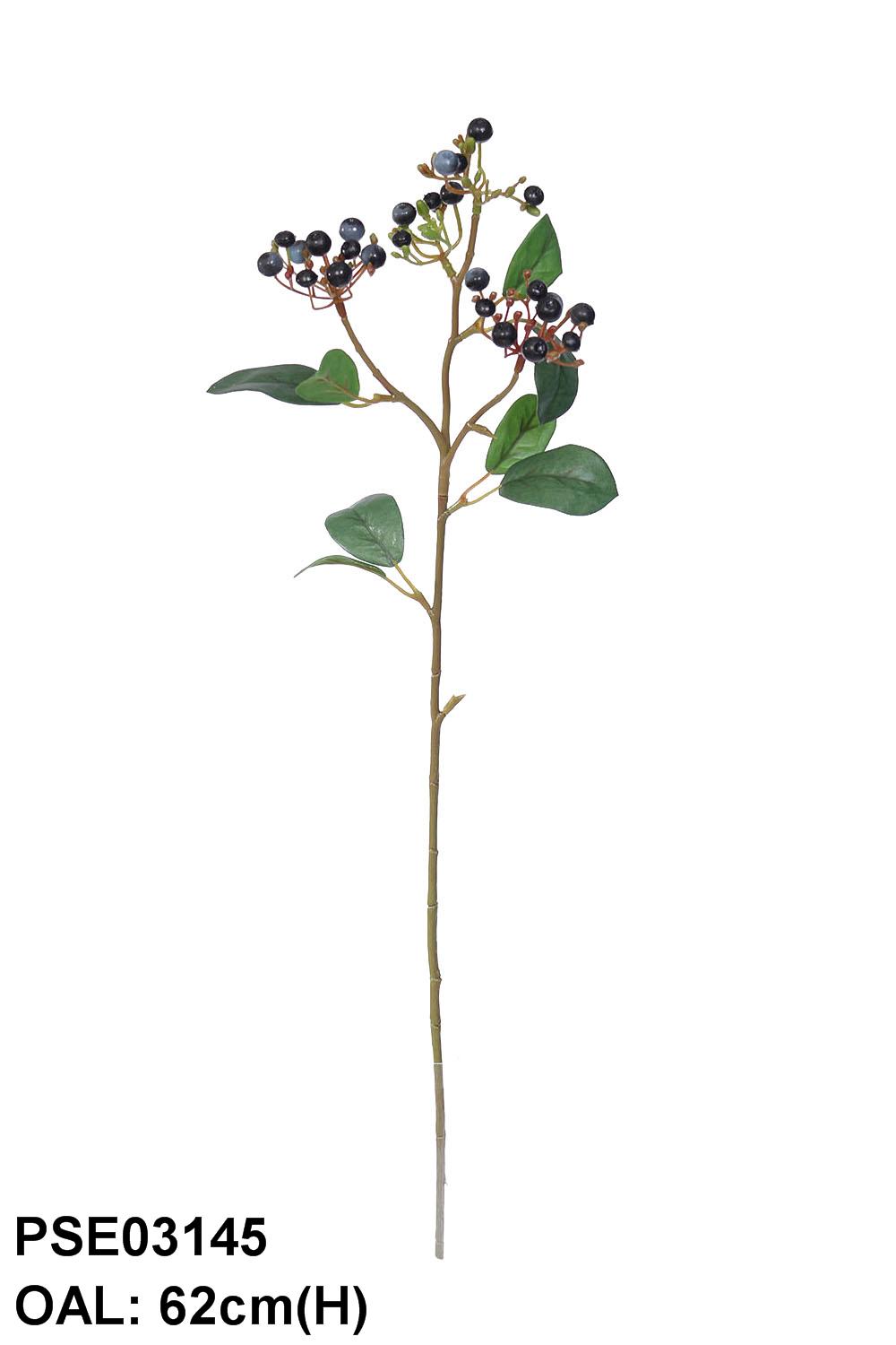PSE03145-BL-01