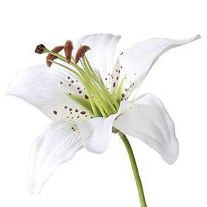 PSE03223-CR-01