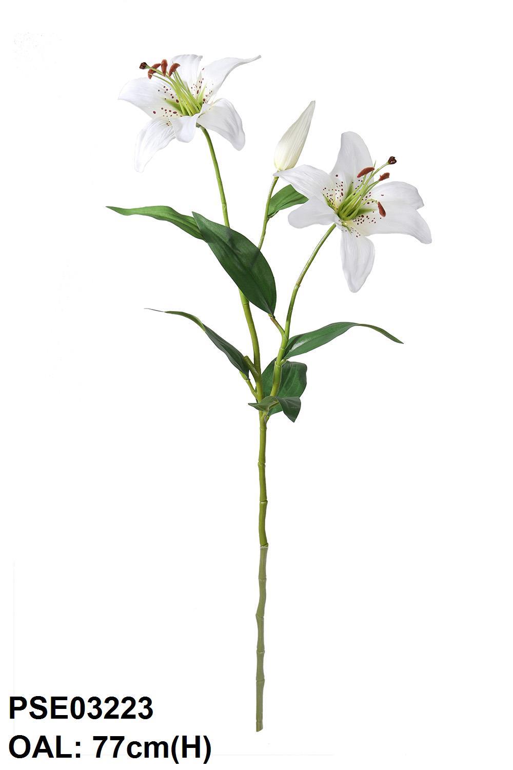 PSE03223-CR-01