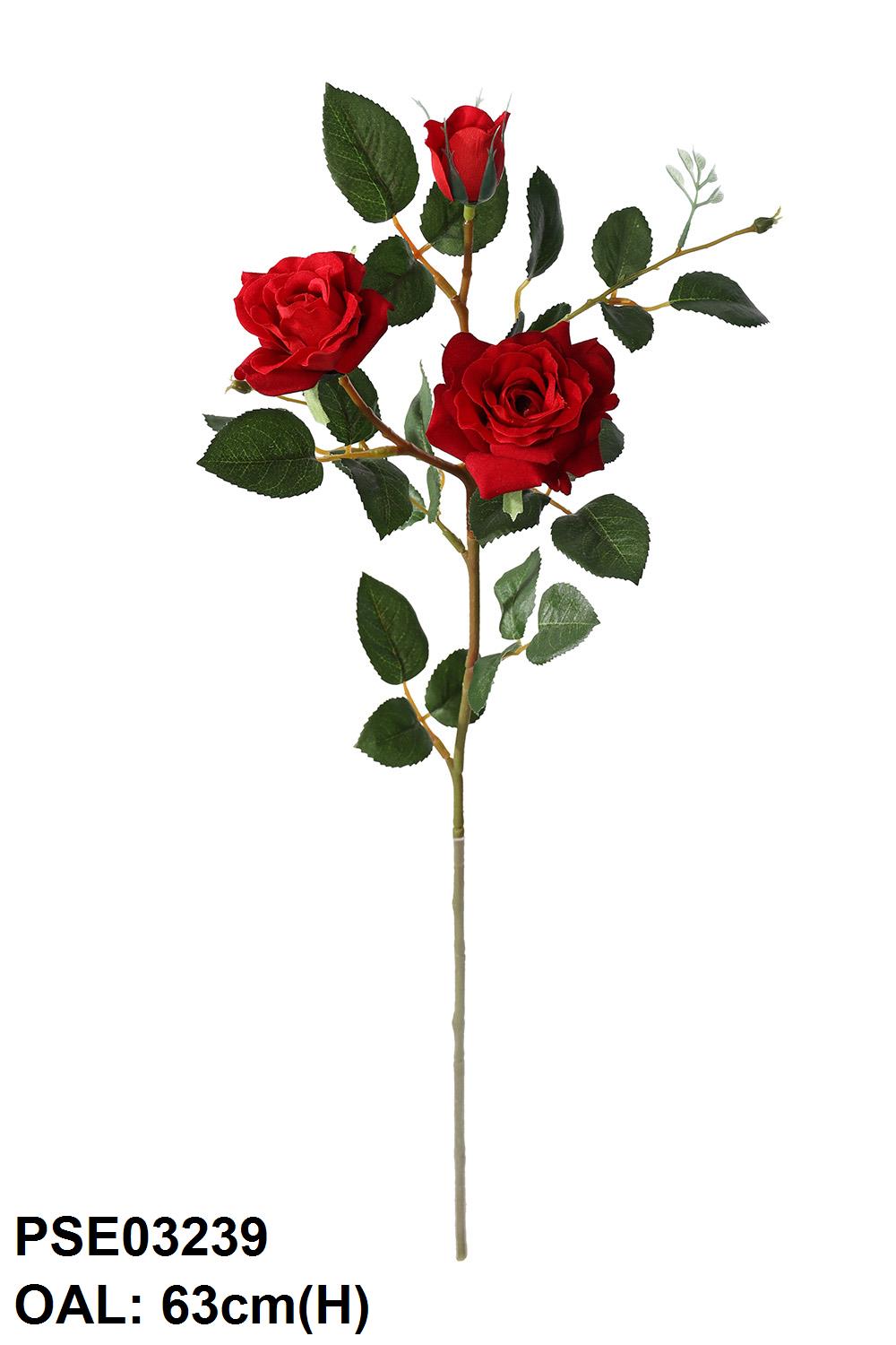 PSE03239-RD-01