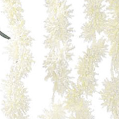 PSE04038-CR-01