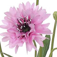 PSE04049-PK-01