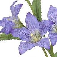 PSE08001-BL-01