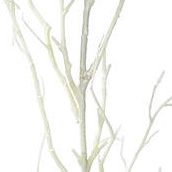 PXE88123PT-WH-01