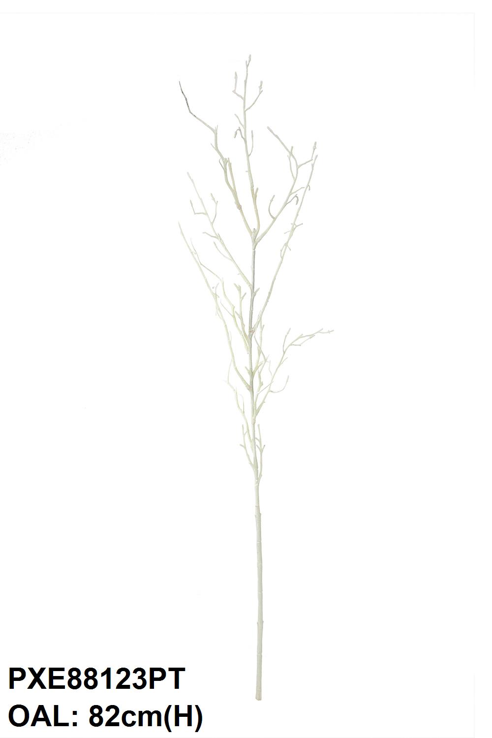 PXE88123PT-WH-01